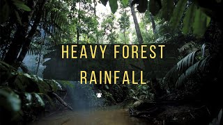 Heavy Forest Rainfall Deep Sleep White Noise for Ultimate Relaxation [upl. by Frodeen444]