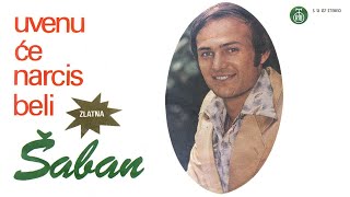 Saban Saulic  Uvenuce narcis beli  Audio 1976 [upl. by Erehpotsirhc]