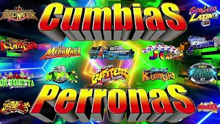 ⚡MIX CUMBIAS PERRONAS PARA BAILAR 2024🕺🏻💃🏻CUMBIAS SONIDERAS MIX GRUPO QUINTANNAJUJUYTEPOZ Y MÁS🥳 [upl. by Amalita]