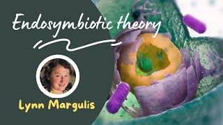 Story of ENDOSYMBIOSIS  NEET Endosymbiosis Biology scienceeducation ScienceShorts ScienceFacts [upl. by Sasnett]