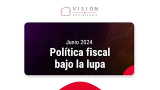 Política fiscal bajo la lupa  Visión Davivienda [upl. by Noonberg]