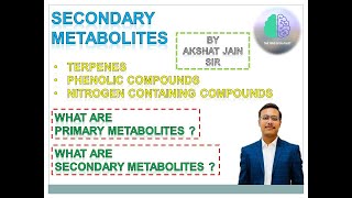 Secondary Metabolites In Plants In Hindi CSIR Secondary Metabolites In Plants In Hindi CSIR [upl. by Aitnyc]