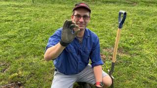 Silver Hoard Coin Spill Minelab Manticore Part16 [upl. by Pasco119]