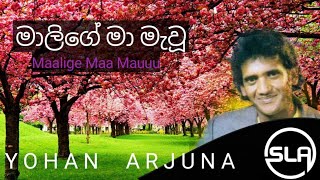 Malige ma mawu sinhala song  මාලිගේ මා මැවූ  Yohan Arjuna  MS Tunes LK [upl. by Aciretnahs]