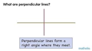 Perpendicular Lines [upl. by Vivyanne767]