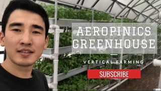 Vertical Farming  Aeroponics Greenhouse [upl. by Lillith]