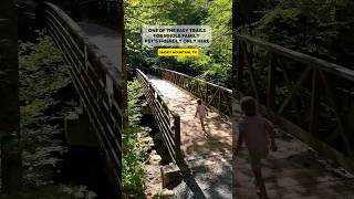 📍Gatlinburg trail Smoky Mountain TN hiking smokymountains nationalpark [upl. by Nitsej]