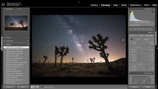 Amazing Night Sky With Moon Clouds Sta And Flapping Bird  Stock Video Background [upl. by Yemac]