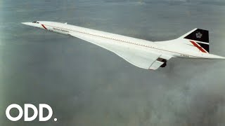 Odd The Concorde [upl. by Woolley]