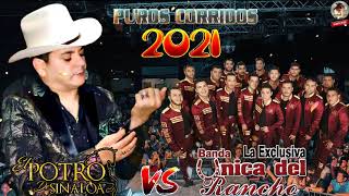 El Potro de Sinaloa y Banda La Exclusiva Unica Del Rancho  Puras Con Banda Mix 2021 \ Exitos De Oro [upl. by Howzell121]