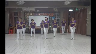 One Too Many Line Dance 太多了 基礎提升級排舞含分解數拍 [upl. by Magel]