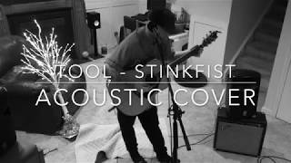 TOOL  Stinkfist acoustic cover [upl. by Hgeilyak15]