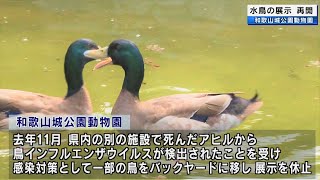 和歌山城公園動物園「水禽園」 水鳥の展示を再開 [upl. by Anatak906]