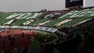 Tifo Raja MAGANA  VOX POPULI المكانا  صوت الشعب  RAJA Vs Wydad Derby 106 [upl. by Ynatsed]