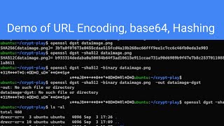 Demonstration of URL Encoding Base64 and Hashing [upl. by Adnovaj]