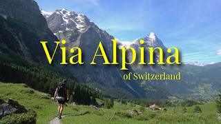 Silent Hiking 123KM on The Via Alpina of Switzerland [upl. by Zindman]