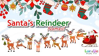 All of Santas Reindeer  Names of all of Santas Reindeer  Leo amp Lia Kids TV [upl. by Ecydnac341]