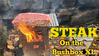 Bushcraft Cooking cooking steak on my bushbox XL stove steak onions red pepper and mushrooms [upl. by Nyrrek78]