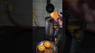 AGARO Regency Electric Citrus Juicer 350W 650 ml [upl. by Avra]