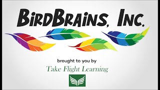 BirdBrains Inc Commercial [upl. by Siver150]