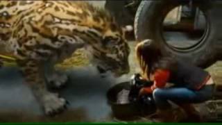 Primeval Series 2  Episode 5  A Silurian Scorpion Kills the Cleaner 2008 [upl. by Elocan]