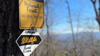 Pisgah National Forest  Backcountry Whitetails  Mountain Hunting [upl. by Roselani466]