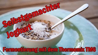 Joghurt selbstgemacht mit dem Thermomix TM6  Fermentierung [upl. by Hutton423]