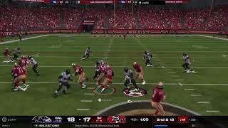 Niners vs Ravens S2 L [upl. by Kcirddet]