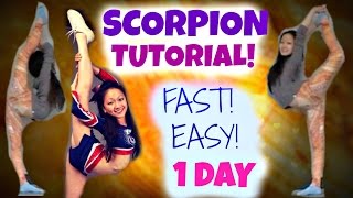 How to Learn a SCORPION  in ONE DAY [upl. by Laemsi]