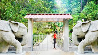 Install Sturdy Iron Gate Doors Build New Gate To Replace Old Bamboo Gate  Nhất New Life [upl. by Etnauj]