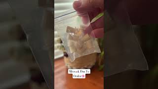 Miswak Dm To Order🌸 miswak youtubeshortsvideo [upl. by Chaffinch]