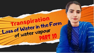 वाष्पोत्सर्जन  Transpiration Loss of water in the form of water vapour  Part 10 [upl. by Eliot]