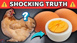 The Shocking Scientifically Proven Truths About EGGS You Still Dont Know [upl. by Celia585]