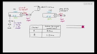 1213 Respiratory Quotient Cambridge AS A Level Biology 9700 [upl. by Herwin150]