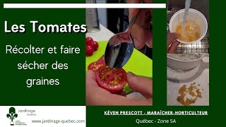 COMMENT RÉCOLTER ET FAIRE SÉCHER DES GRAINES DE TOMATES [upl. by Naek683]