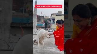 What is this Nonsence nitumehna SachinManisha ytshorts youtubeshorts shorts [upl. by Faxen759]