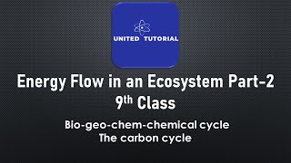 Energy Flow in an Ecosystem Part2  9th Class  Biogeochemical Cycle The carbon cycle [upl. by Wenda]