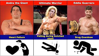 WWE Wrestlers Death  WWE Famous Wrestlers Demise reasons [upl. by Loretta]