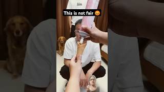 this is not fair 😡I also want big icecreamGoldenRetrieverDogs1 dog trending subscribe viral [upl. by Nath]