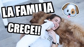 TENEMOS NUEVO MIEMBRO EN LA FAMILIA  paulagonu VLOGMAS ADVIENTOPG20 [upl. by Serafine]