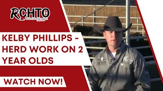 Kelby Phillips  Herd Work on 2 Year Olds [upl. by Ffilc556]