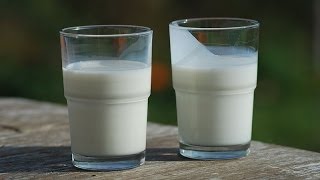 Die gute Milch  macht uns krank  Paradox [upl. by Lehsar]