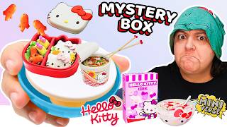 DISASTER OR AMAZING Hello Kitty Mini Food Mystery Box Miniverse Unbox [upl. by Pegeen]