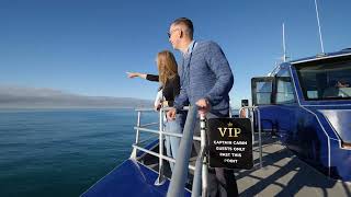 Whale Watch Kaikoura  VIP captains cabin experience [upl. by Rattray362]