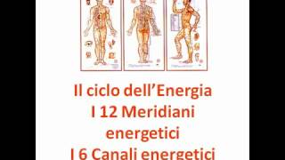 i 12 meridiani e i 6 canali energetici [upl. by Atilrep70]