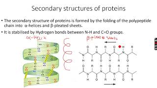 ALevel Chemistry Polymerisation Part 8 [upl. by Denna]