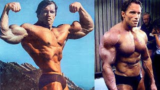 ARNOLDS BEST PHYSIQUE VS ARNOLDS WORST PHYSIQUE  EVOLUTION OF SCHWARZENEGGERS BODY [upl. by Evelunn60]