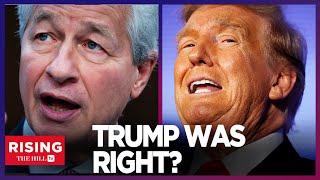 JPMorganChases Jamie Dimon to Dems GROW UP amp LISTEN To Trump Supporters DJT WAS RIGHT [upl. by Aduhey]