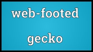 Webfooted gecko Meaning [upl. by Leeann]