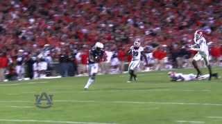 Auburn Fans React to Catch Celebrate Win Against Georgia [upl. by Barrington]